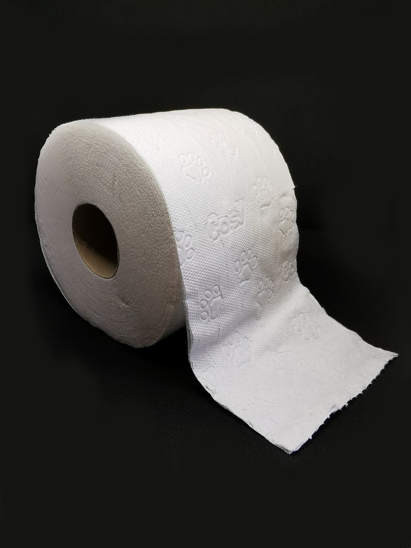 Toilet Paper Roll Characters